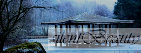 silentBeauty